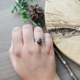 Fossil Ring