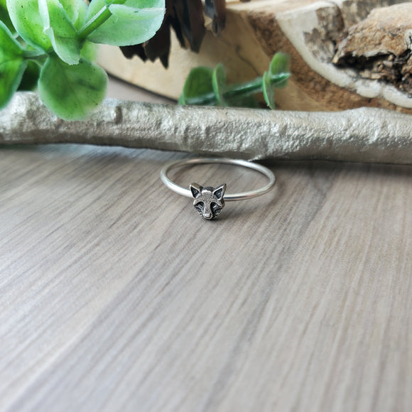 Raccoon Ring