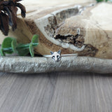 Raccoon Ring