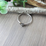 Raccoon Ring