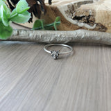 Raccoon Ring