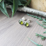 Vesuvianite Studs, Faceted
