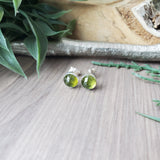 Vesuvianite Studs, Faceted