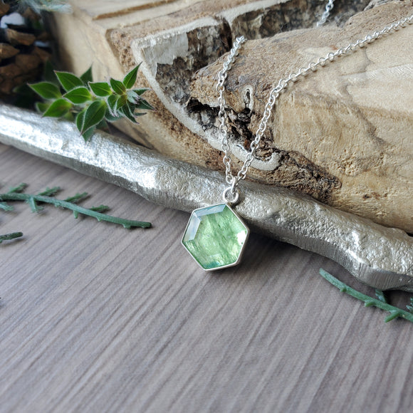Moss Kyanite Necklace, Hexagon