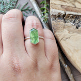 Moss Kyanite Ring, Long Hexagon