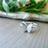 Butterfly Ring, 3D