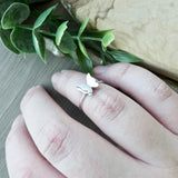 Butterfly Ring, 3D