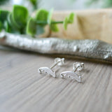 Chameleon Studs
